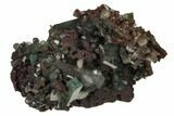 Apophyllite Crystals w/ Celadonite Inclusions -India #168959-1